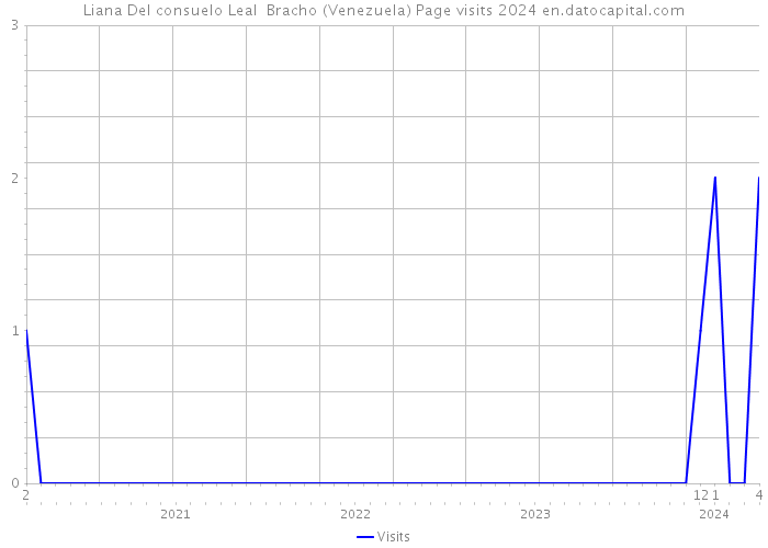 Liana Del consuelo Leal Bracho (Venezuela) Page visits 2024 