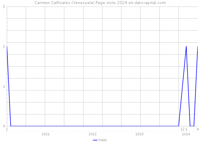 Carmen Cañizalez (Venezuela) Page visits 2024 