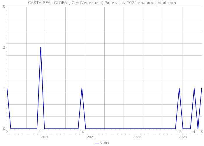 CASTA REAL GLOBAL, C.A (Venezuela) Page visits 2024 