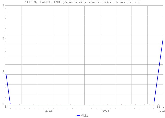 NELSON BLANCO URIBE (Venezuela) Page visits 2024 