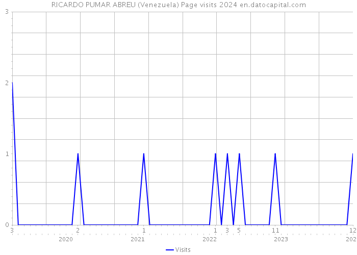 RICARDO PUMAR ABREU (Venezuela) Page visits 2024 