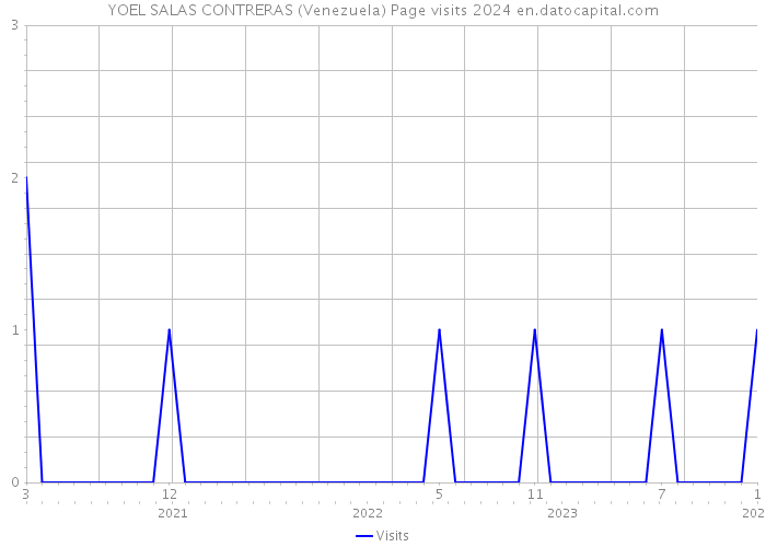 YOEL SALAS CONTRERAS (Venezuela) Page visits 2024 