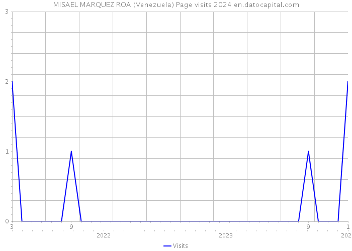 MISAEL MARQUEZ ROA (Venezuela) Page visits 2024 