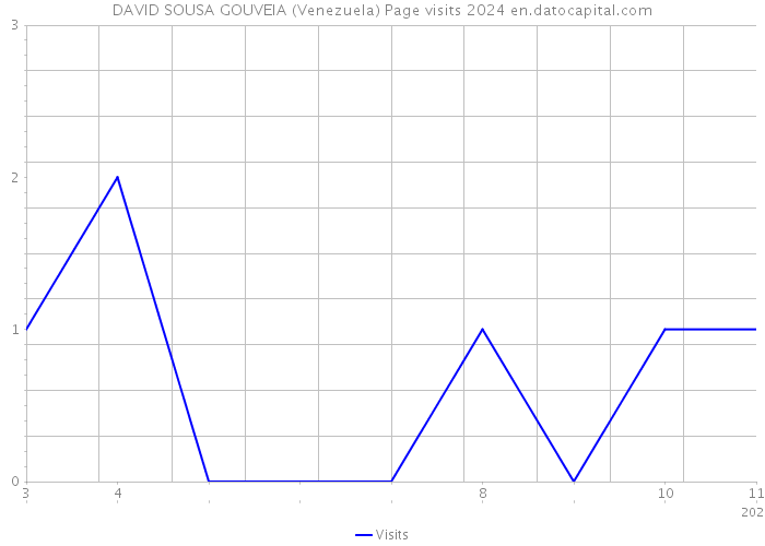 DAVID SOUSA GOUVEIA (Venezuela) Page visits 2024 