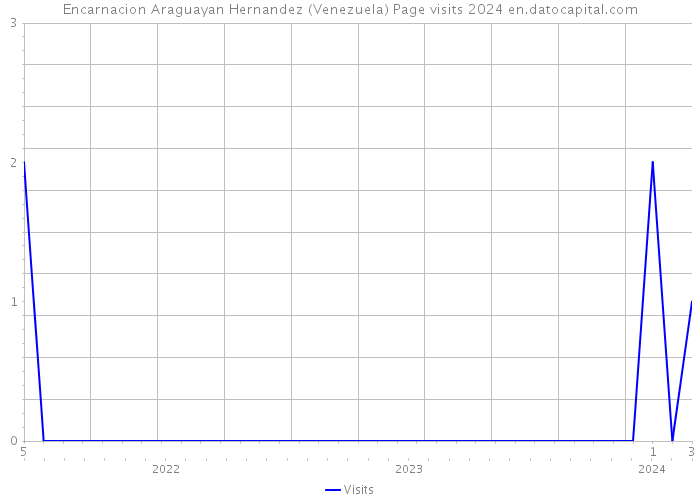 Encarnacion Araguayan Hernandez (Venezuela) Page visits 2024 