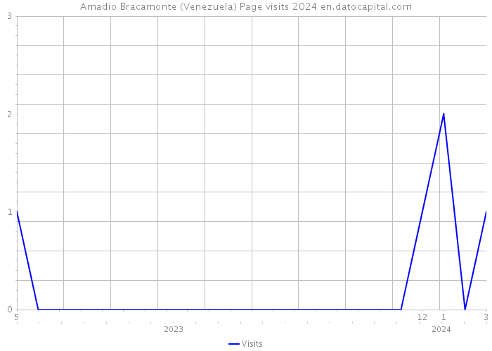 Amadio Bracamonte (Venezuela) Page visits 2024 