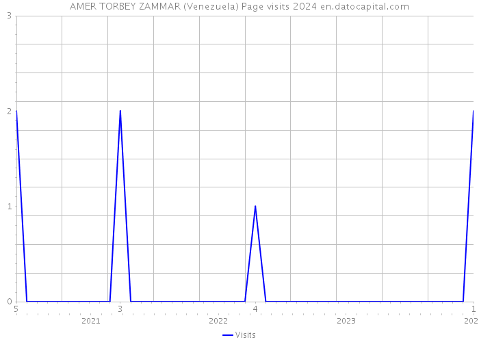 AMER TORBEY ZAMMAR (Venezuela) Page visits 2024 