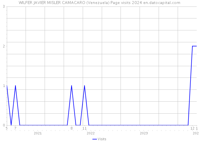 WILFER JAVIER MISLER CAMACARO (Venezuela) Page visits 2024 