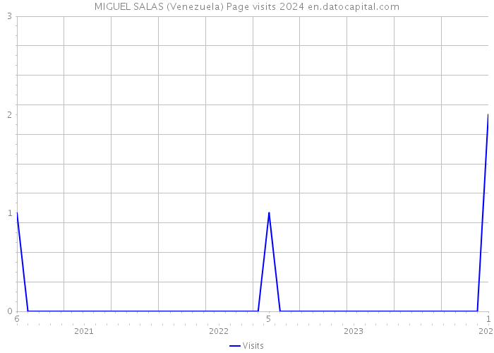 MIGUEL SALAS (Venezuela) Page visits 2024 