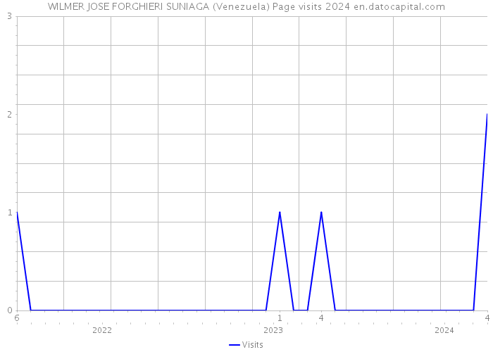 WILMER JOSE FORGHIERI SUNIAGA (Venezuela) Page visits 2024 