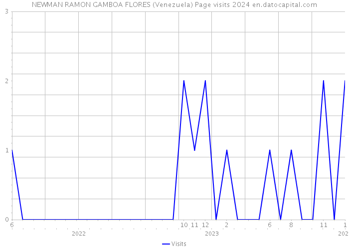 NEWMAN RAMON GAMBOA FLORES (Venezuela) Page visits 2024 