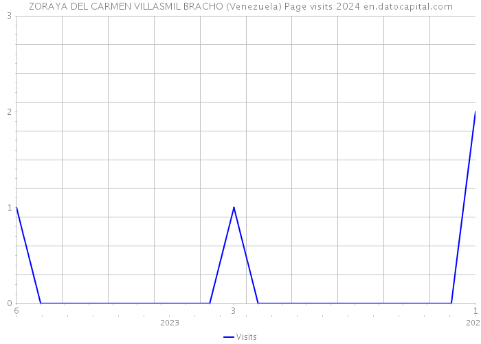 ZORAYA DEL CARMEN VILLASMIL BRACHO (Venezuela) Page visits 2024 