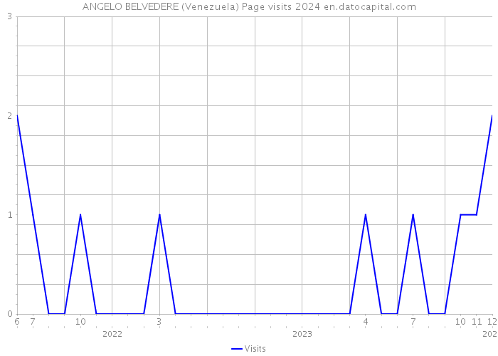 ANGELO BELVEDERE (Venezuela) Page visits 2024 