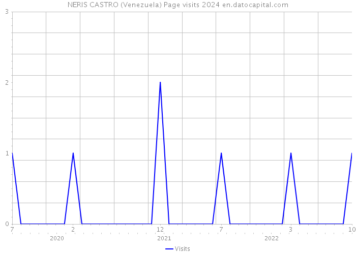 NERIS CASTRO (Venezuela) Page visits 2024 