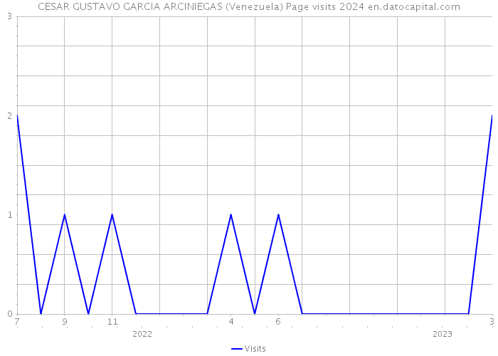 CESAR GUSTAVO GARCIA ARCINIEGAS (Venezuela) Page visits 2024 