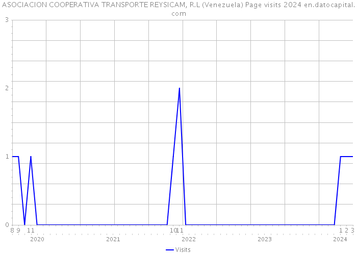 ASOCIACION COOPERATIVA TRANSPORTE REYSICAM, R.L (Venezuela) Page visits 2024 