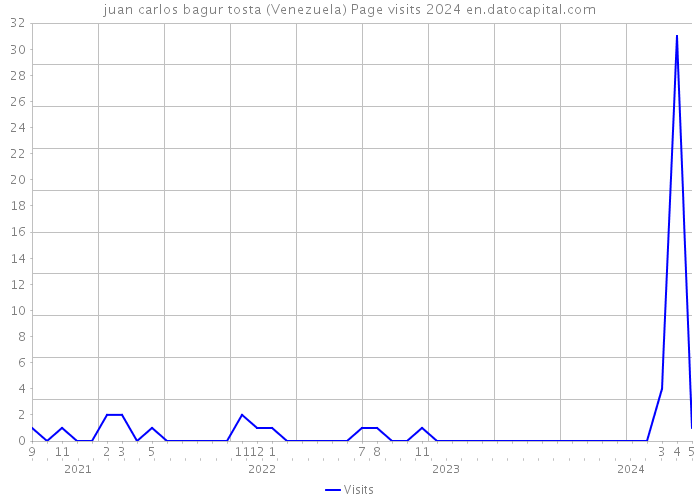 juan carlos bagur tosta (Venezuela) Page visits 2024 