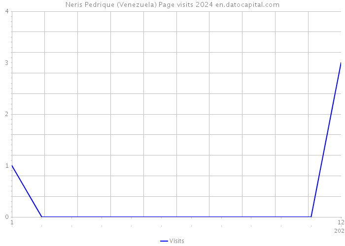 Neris Pedrique (Venezuela) Page visits 2024 