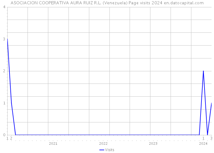 ASOCIACION COOPERATIVA AURA RUIZ R.L. (Venezuela) Page visits 2024 