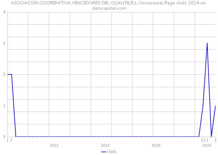 ASOCIACION COOPERATIVA VENCEDORES DEL GIGANTE,R.L (Venezuela) Page visits 2024 
