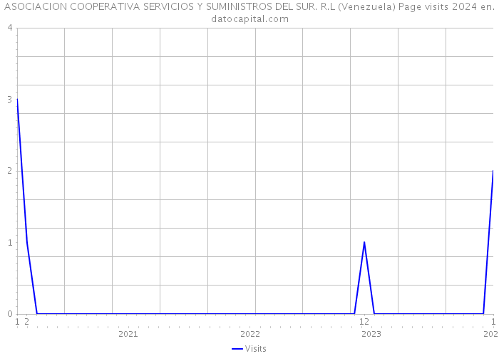 ASOCIACION COOPERATIVA SERVICIOS Y SUMINISTROS DEL SUR. R.L (Venezuela) Page visits 2024 
