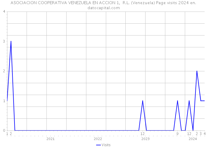 ASOCIACION COOPERATIVA VENEZUELA EN ACCION 1, R.L. (Venezuela) Page visits 2024 