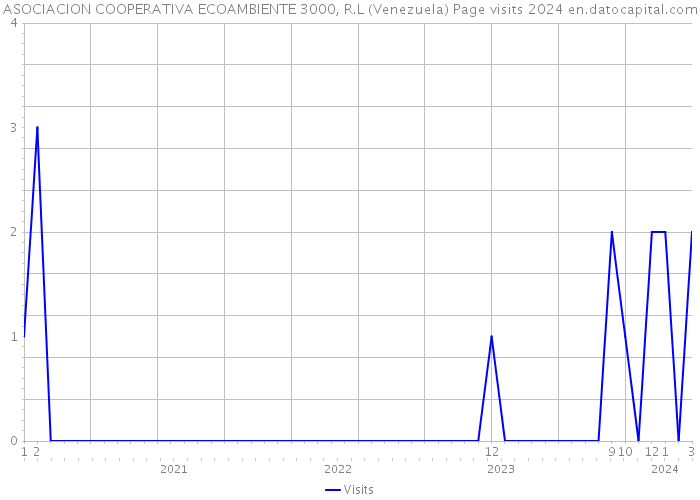 ASOCIACION COOPERATIVA ECOAMBIENTE 3000, R.L (Venezuela) Page visits 2024 