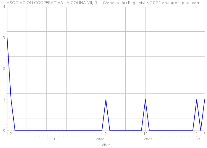 ASOCIACION COOPERATIVA LA COLINA VII, R.L. (Venezuela) Page visits 2024 
