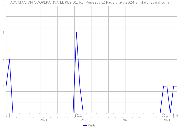 ASOCIACION COOPERATIVA EL REY 01, RL (Venezuela) Page visits 2024 