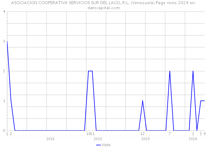 ASOCIACION COOPERATIVA SERVICIOS SUR DEL LAGO, R.L. (Venezuela) Page visits 2024 
