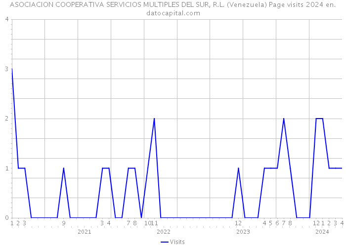 ASOCIACION COOPERATIVA SERVICIOS MULTIPLES DEL SUR, R.L. (Venezuela) Page visits 2024 
