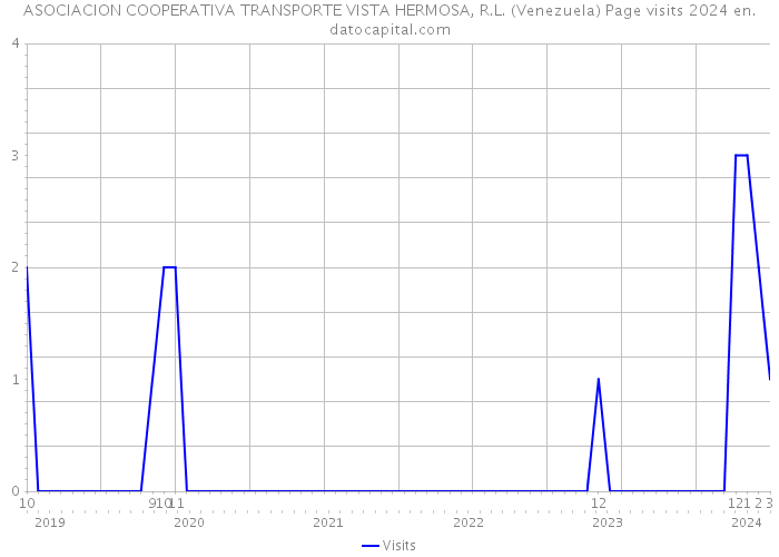 ASOCIACION COOPERATIVA TRANSPORTE VISTA HERMOSA, R.L. (Venezuela) Page visits 2024 