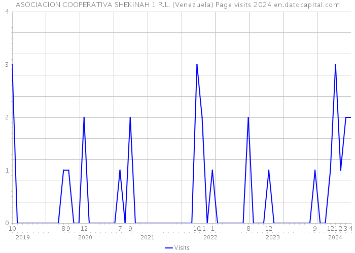 ASOCIACION COOPERATIVA SHEKINAH 1 R.L. (Venezuela) Page visits 2024 