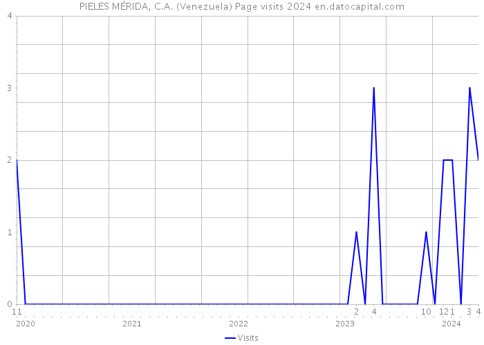 PIELES MÉRIDA, C.A. (Venezuela) Page visits 2024 