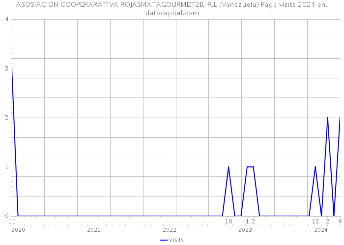 ASOSIACION COOPERARATIVA ROJASMATAGOURMET2B, R.L (Venezuela) Page visits 2024 