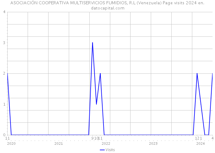 ASOCIACIÓN COOPERATIVA MULTISERVICIOS FUMIDIOS, R.L (Venezuela) Page visits 2024 