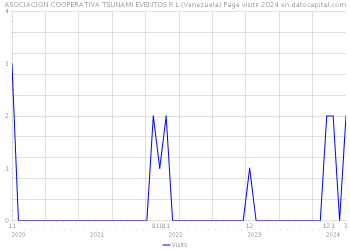 ASOCIACION COOPERATIVA TSUNAMI EVENTOS R.L (Venezuela) Page visits 2024 