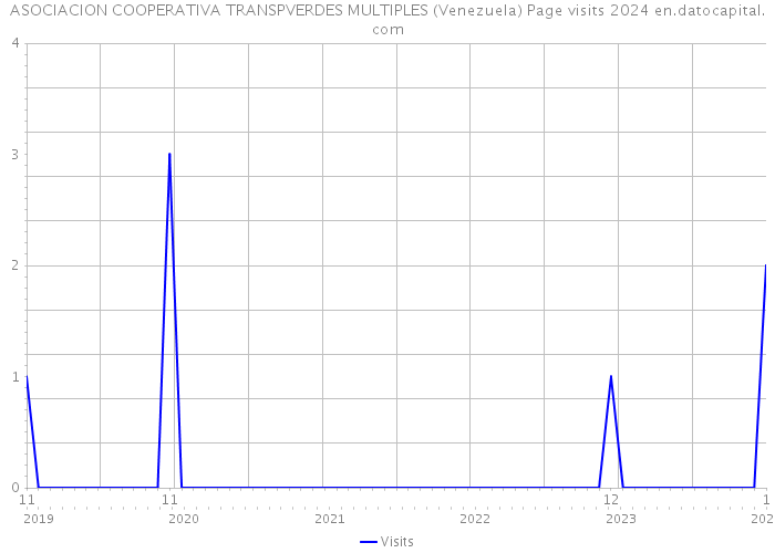 ASOCIACION COOPERATIVA TRANSPVERDES MULTIPLES (Venezuela) Page visits 2024 