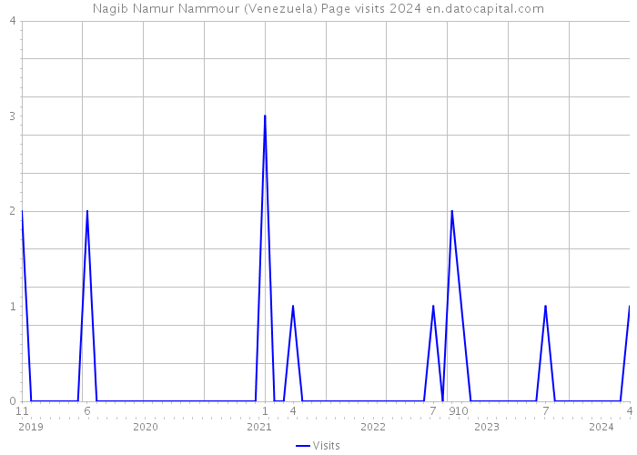 Nagib Namur Nammour (Venezuela) Page visits 2024 