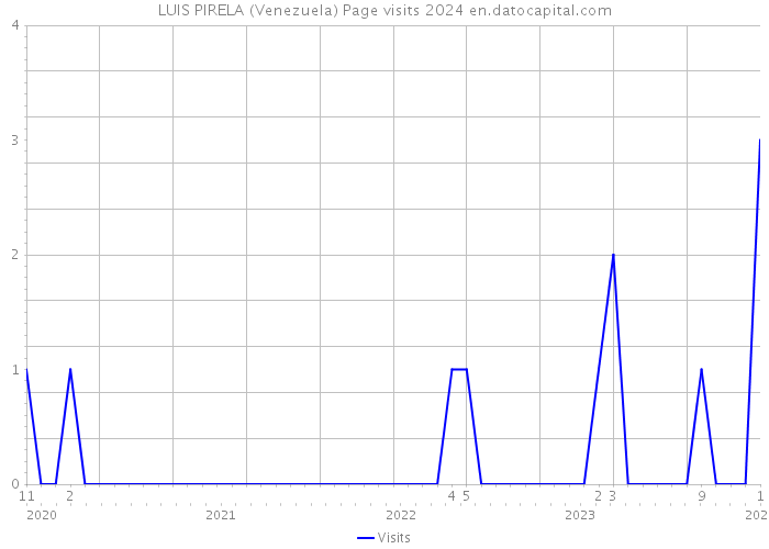 LUIS PIRELA (Venezuela) Page visits 2024 