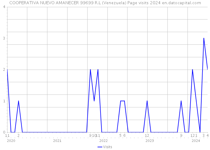 COOPERATIVA NUEVO AMANECER 99699 R.L (Venezuela) Page visits 2024 