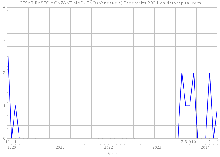 CESAR RASEC MONZANT MADUEÑO (Venezuela) Page visits 2024 