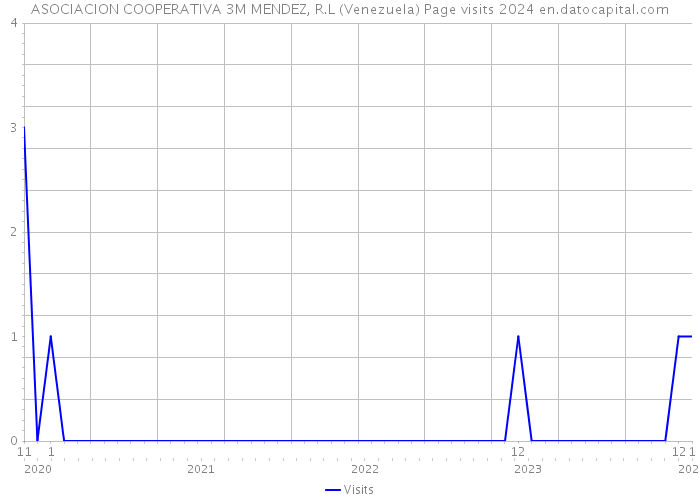 ASOCIACION COOPERATIVA 3M MENDEZ, R.L (Venezuela) Page visits 2024 