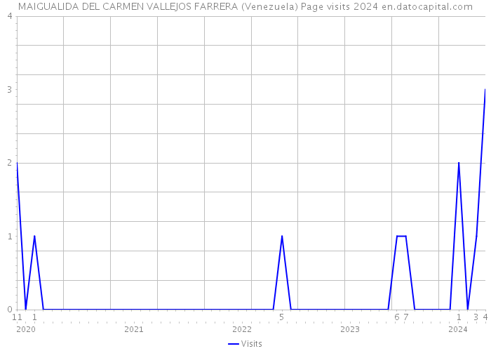 MAIGUALIDA DEL CARMEN VALLEJOS FARRERA (Venezuela) Page visits 2024 