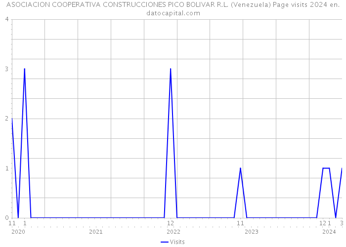 ASOCIACION COOPERATIVA CONSTRUCCIONES PICO BOLIVAR R.L. (Venezuela) Page visits 2024 