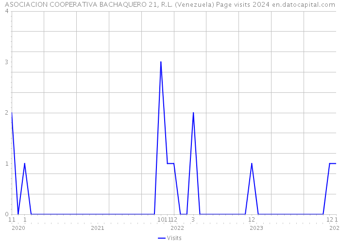 ASOCIACION COOPERATIVA BACHAQUERO 21, R.L. (Venezuela) Page visits 2024 