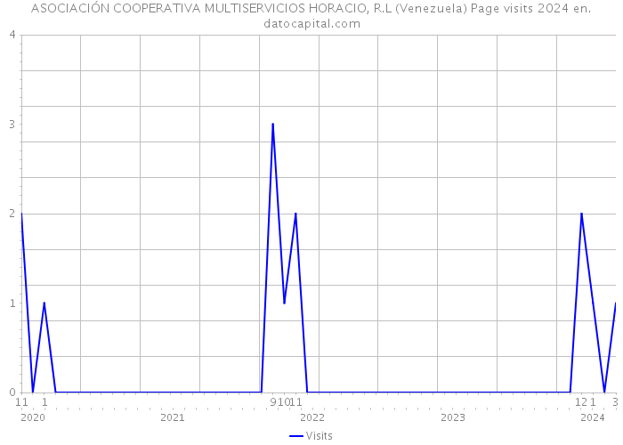 ASOCIACIÓN COOPERATIVA MULTISERVICIOS HORACIO, R.L (Venezuela) Page visits 2024 