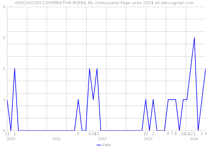ASOCIACION COOPERATIVA RONNI, RL. (Venezuela) Page visits 2024 