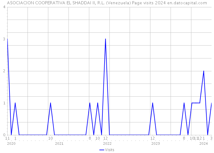 ASOCIACION COOPERATIVA EL SHADDAI II, R.L. (Venezuela) Page visits 2024 