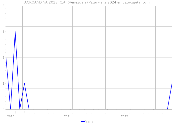 AGROANDINA 2025, C.A. (Venezuela) Page visits 2024 